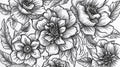 Intricate floral design in black and white featuring detailed petals and leaves.