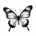 Black and white butterfly illustration with intricate ink details and symmetrical wings.